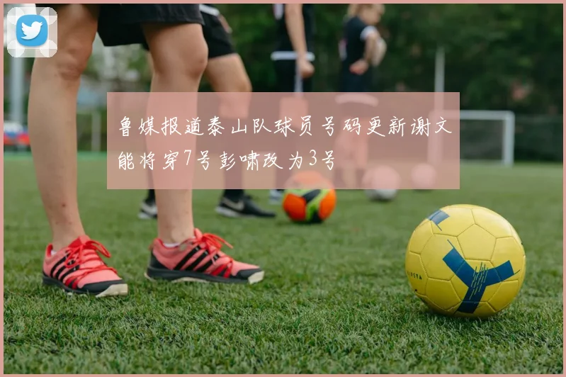 鲁媒报道泰山队球员号码更新谢文能将穿7号彭啸改为3号